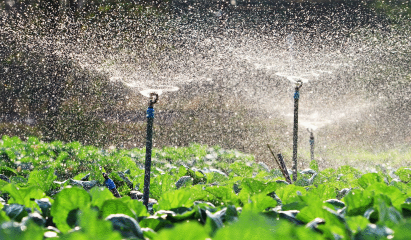 Government started new scheme and giving 80% discount on drip and mini sprinkler
